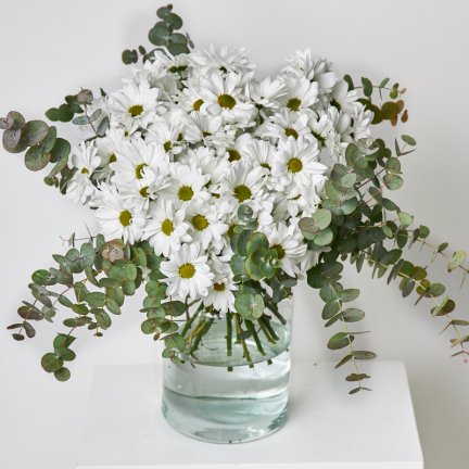 Ramo de Margaritas Blancas - 22,90€ : , Naturkenva | Ramos de flores para  regalar