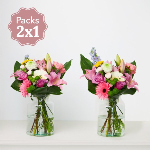 Packs Flores Secas Colores — Floresfrescasonline