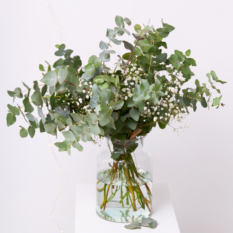 Ramo de eucalipto y paniculata Ibieca - 26,90€ : , Naturkenva | Ramos de  flores para regalar
