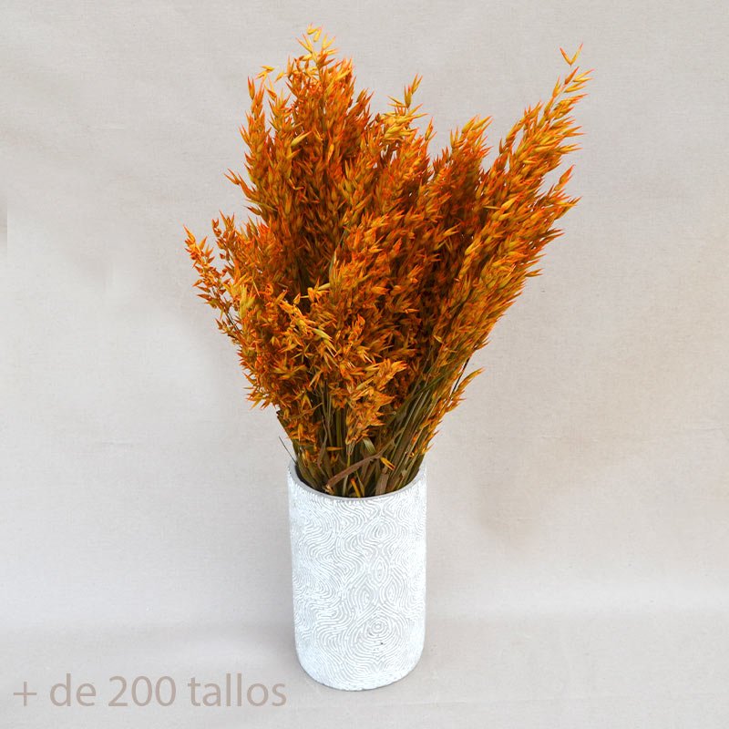 Ramo de eucalipto natural - 24,90€ : , Naturkenva